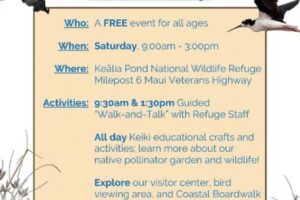 Walk & Talk guided event at Kealia Pond in Sugar Beach, North Kihei.